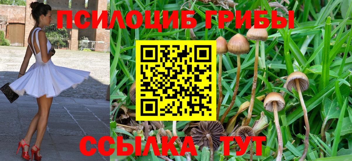 Галлюциногенные грибы ЛСД  Галлюциногенные грибы MAGIC MUSHROOMS  Заинск  Вход с VPN 